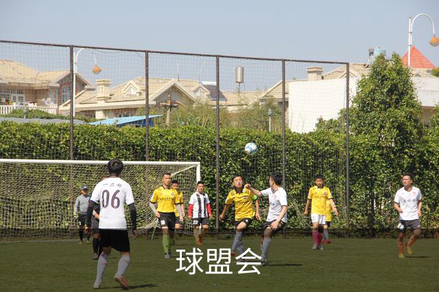 关于球盟会